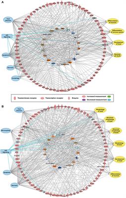 An Integrative Analysis Reveals a Central Role of P53 Activation via MDM2 in Zika Virus Infection Induced Cell Death